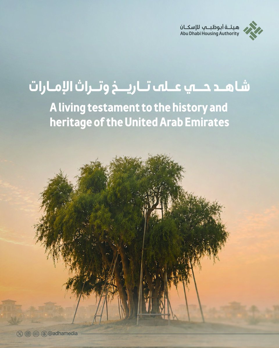 هيئة أبوظبي للإسكان | Abu Dhabi Housing Authority tweet media