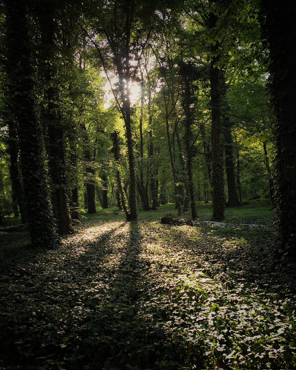 MarkChortsNotes's tweet photo. in the west of Wrocław... https://t.co/XuOJquvaHF