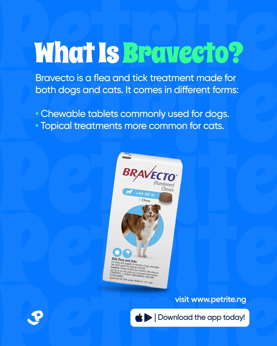 petrite_ng's tweet photo. Ticks & fleas always look “small” until your pet can’t stop scratching 👀
That’s why Bravecto matters 🐾
Long-lasting protection. Less stress. Happier pets 💙
Swipe through to see why so many pet parents trust it
#Bravecto #FleaAndTick #PetCare #Petrite https://t.co/XFwbsTVCVx