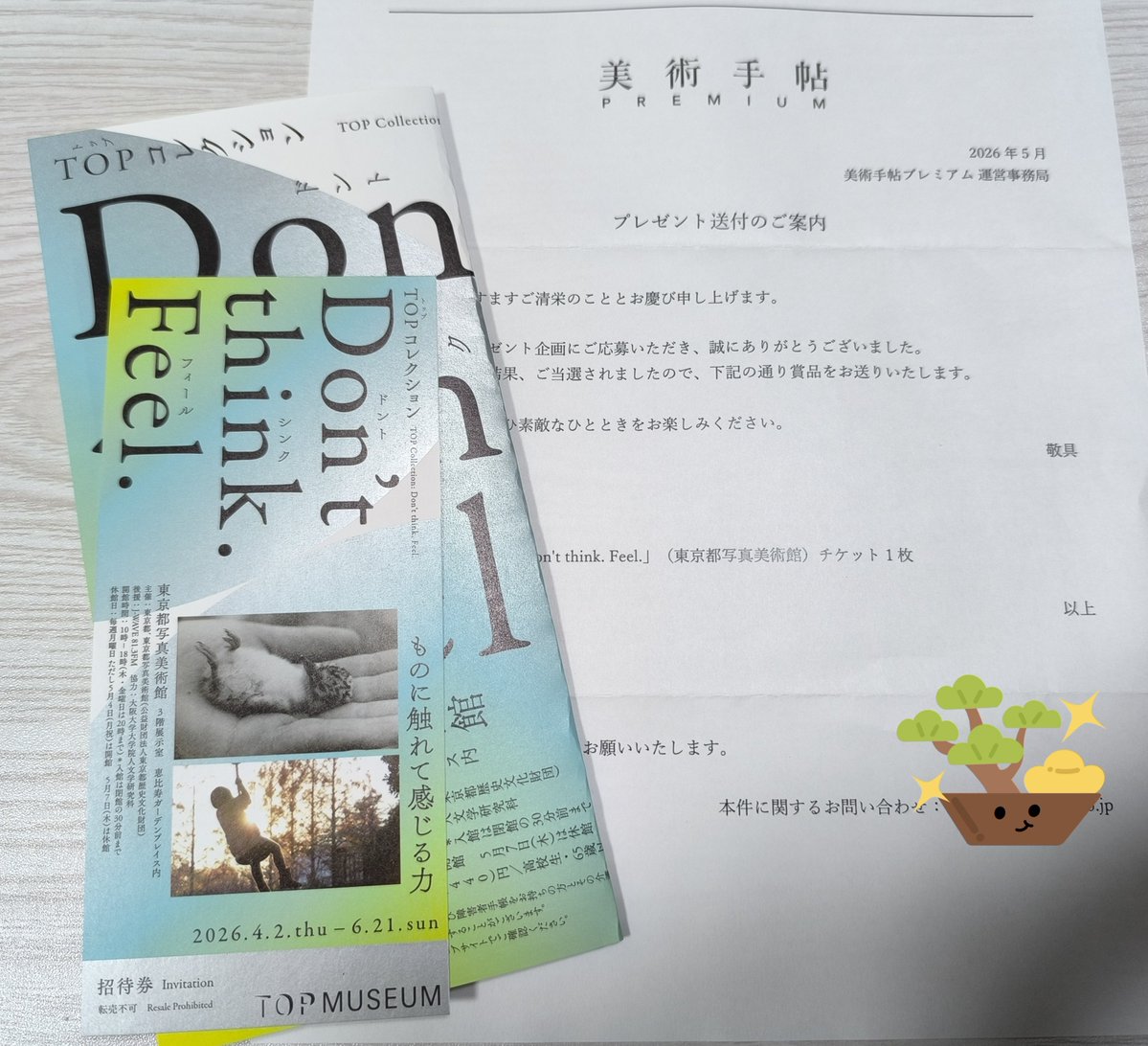葵 tweet media