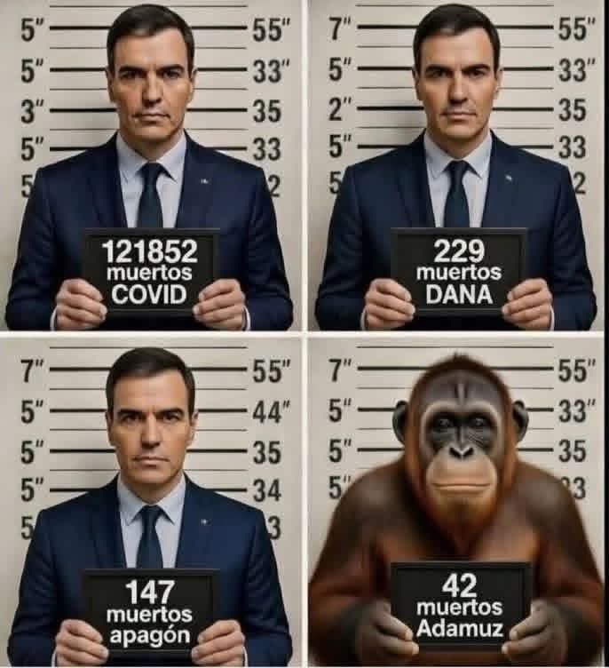 Danny el AntiRojo 🐸🇪🇸🐸 tweet media