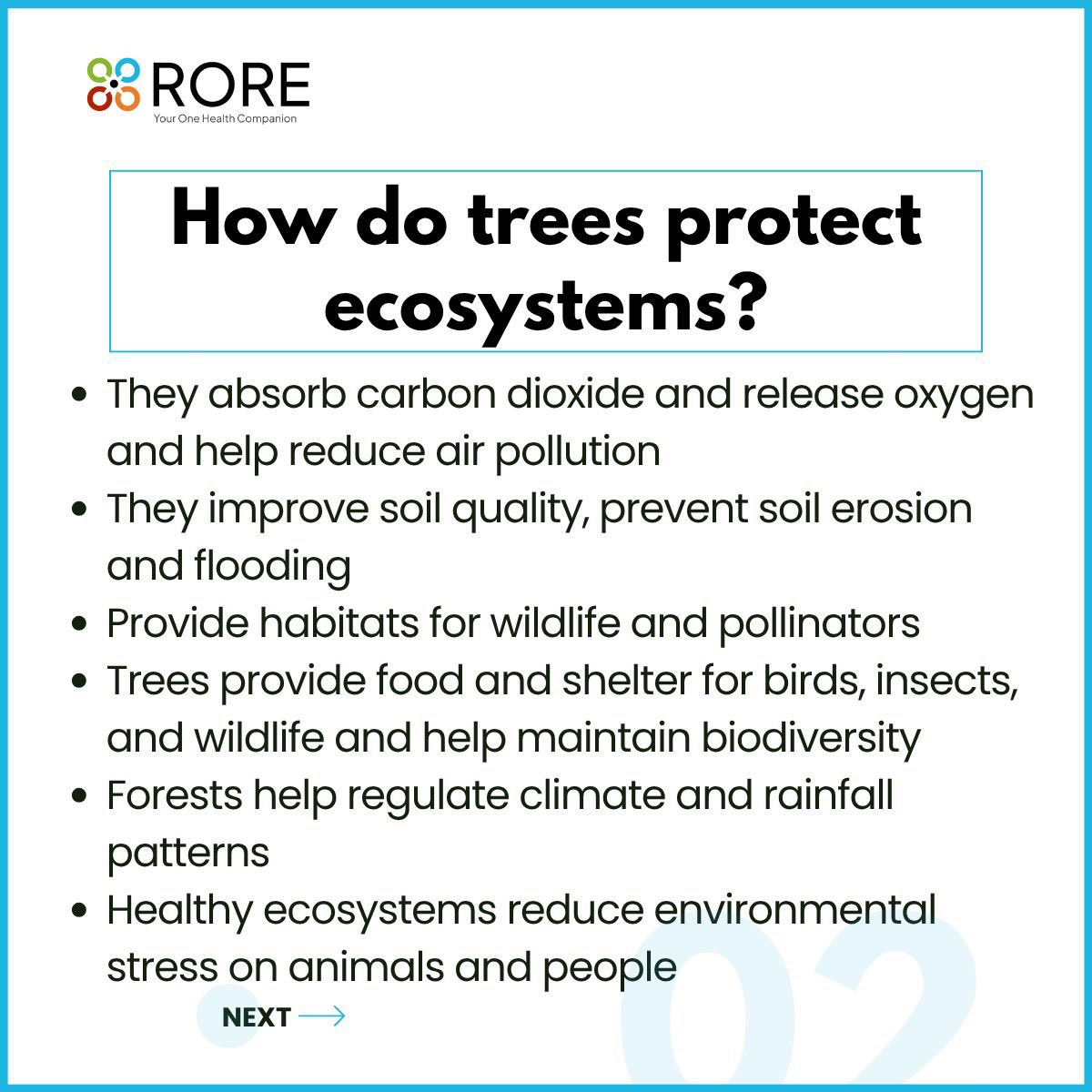 askrore's tweet photo. With rising floods and increasing global temperatures, the importance of protecting our trees and green spaces cannot be overstated. 
When we protect green spaces, we protect the systems that sustain life itself.

Learn more at https://t.co/EjEaLsICXG
#RORE #ROREHealthWatch https://t.co/XIoYa64MB8