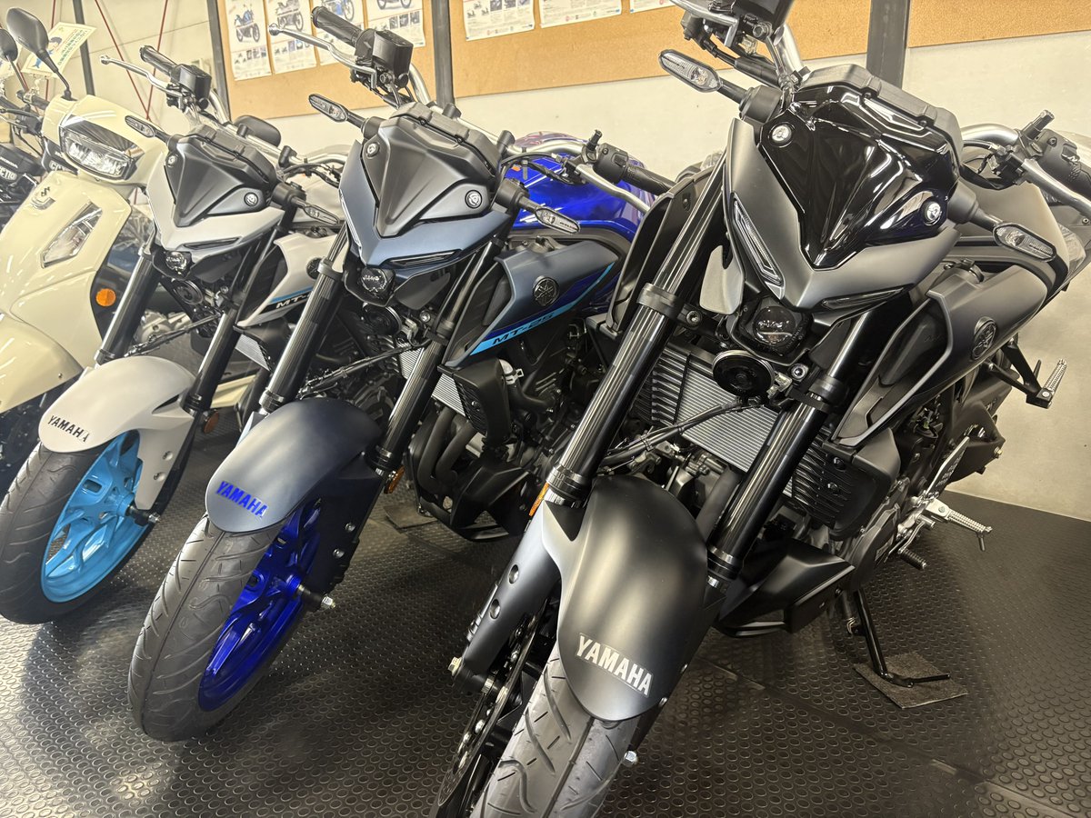 タガメみたいな顔でいいな。次のバイクはMT03にしようかな🤔