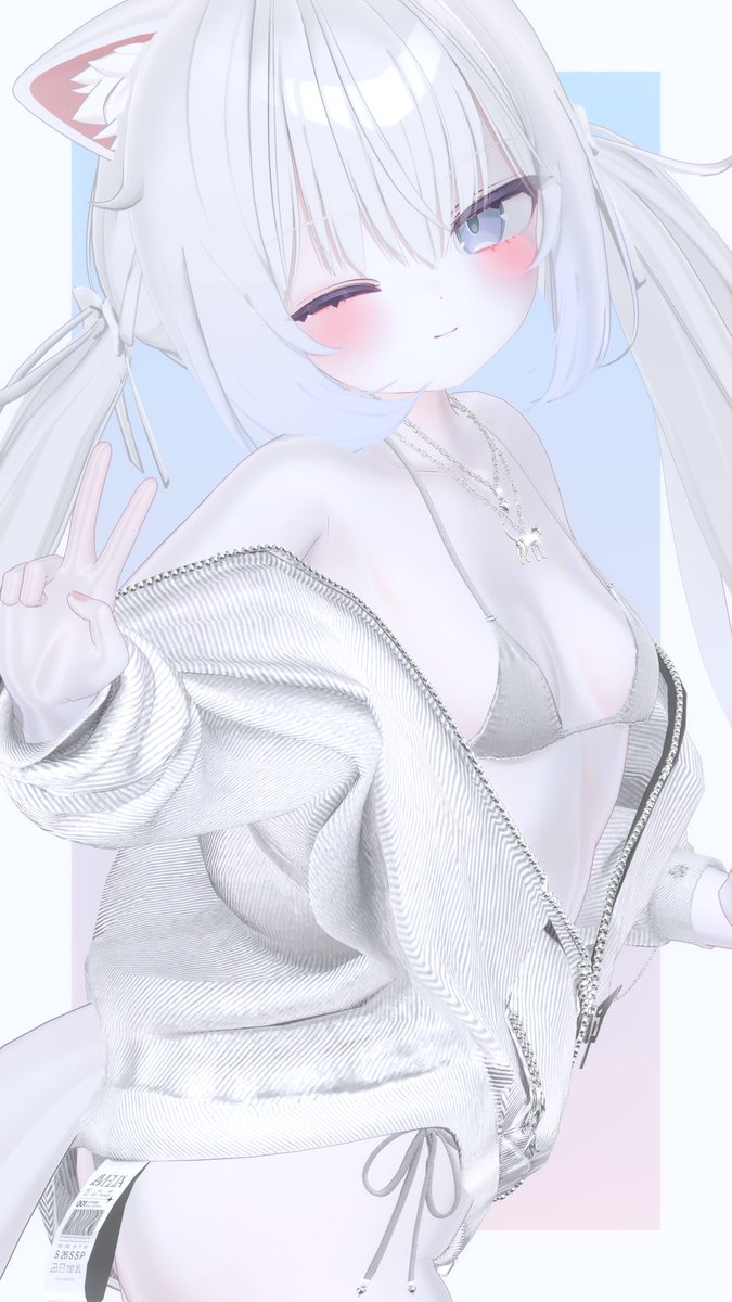 Chiffon3D