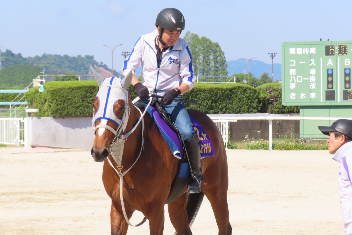 山下優(スポーツ報知)🏇 tweet media