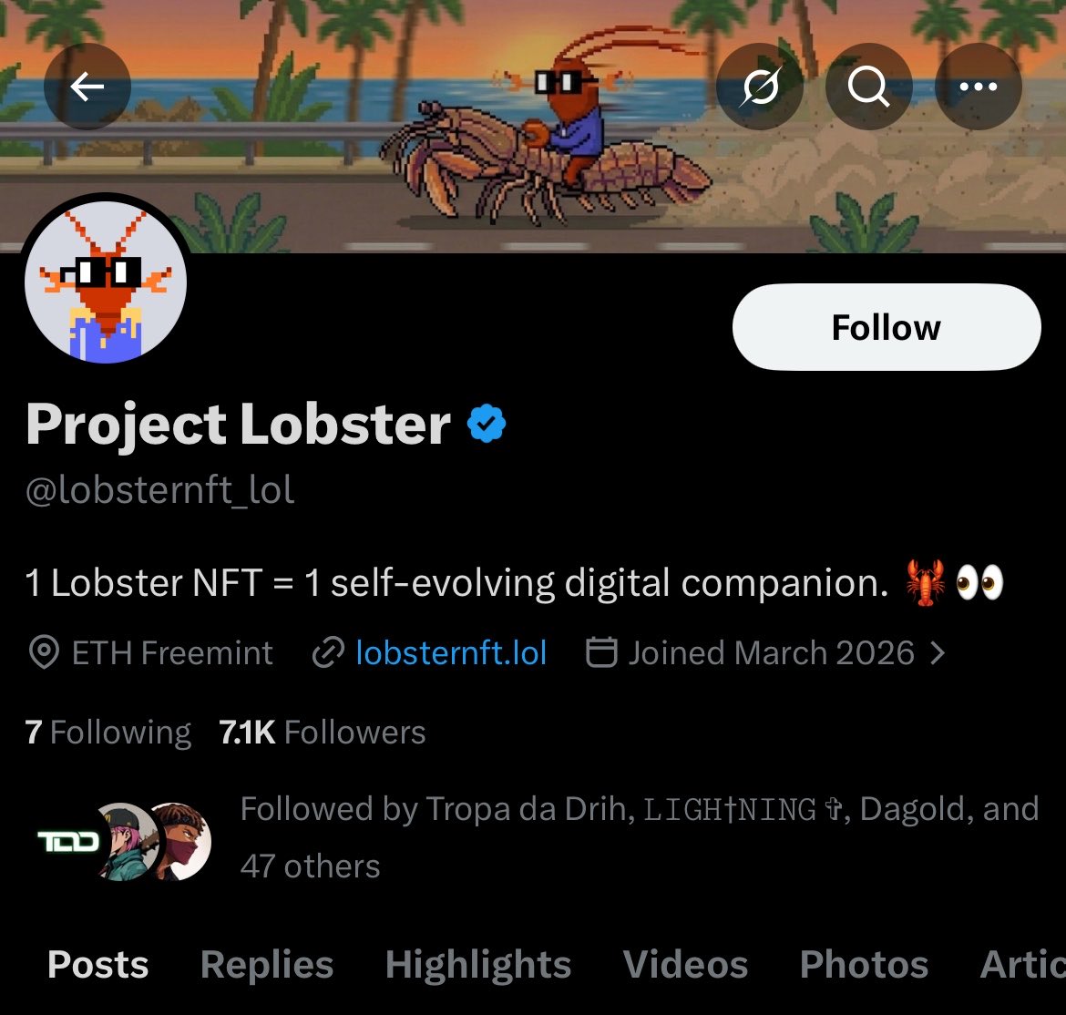 Gi Tee tweet media