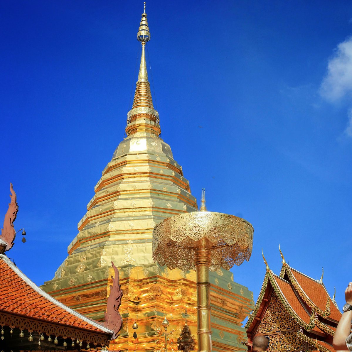 มักกะวานอาชีพรับจ้างทั่วไป tweet media