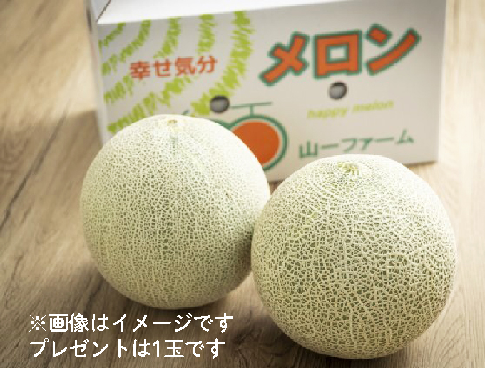 茨城をたべよう tweet media