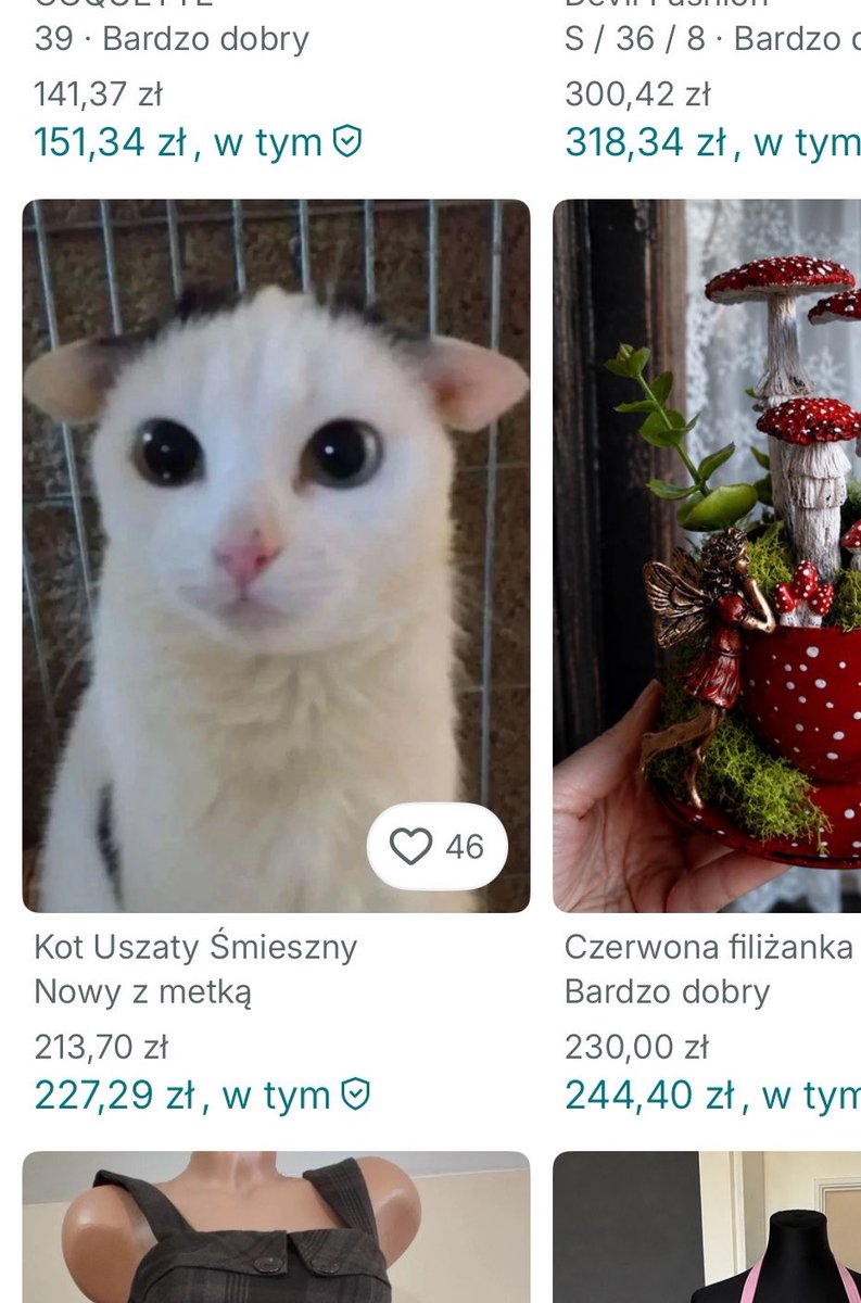 olermoler's tweet photo. Z rana poprawiło humor https://t.co/hqKBO4jSZk