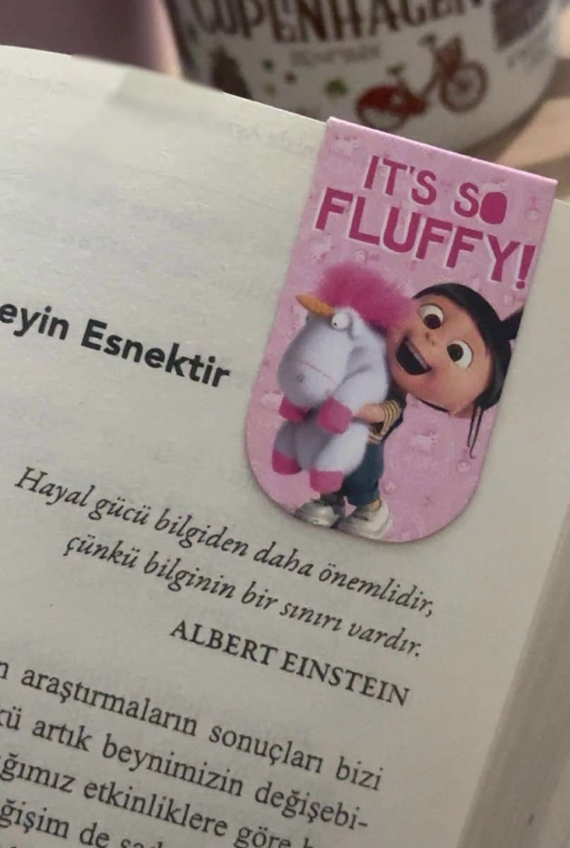 Gül💫 tweet media
