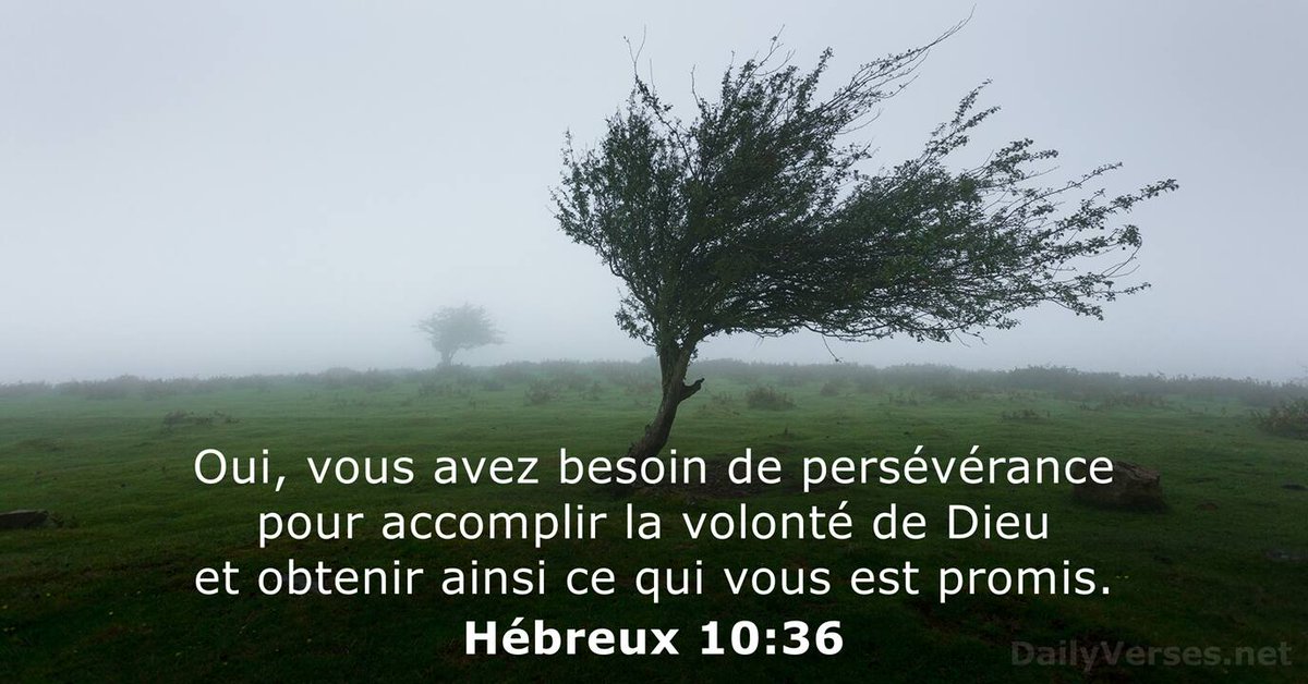 Jacques Boucher tweet media