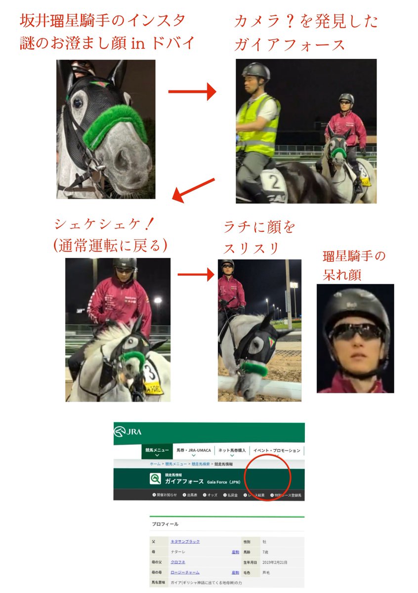 ぱんさ🐴競馬 tweet media