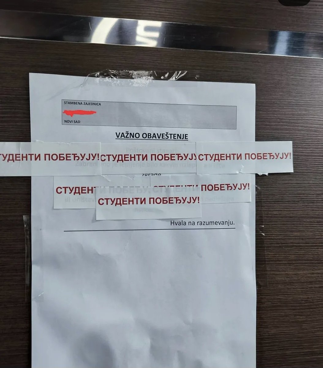 Marija Popović tweet media