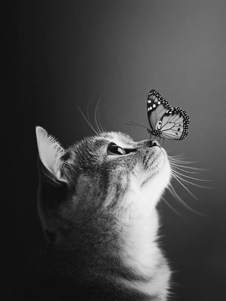Caty Favorite tweet media