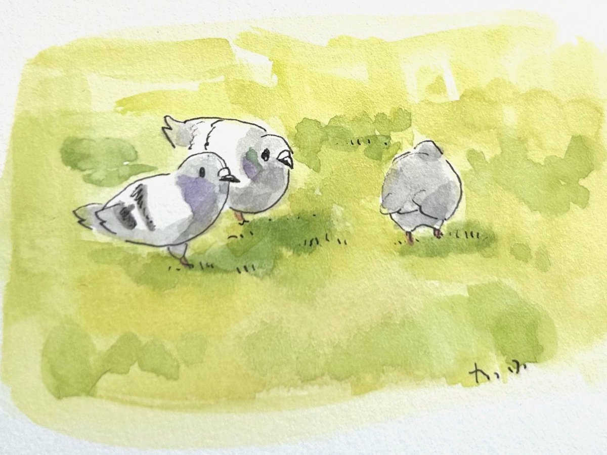 わっふ、絵描き tweet media
