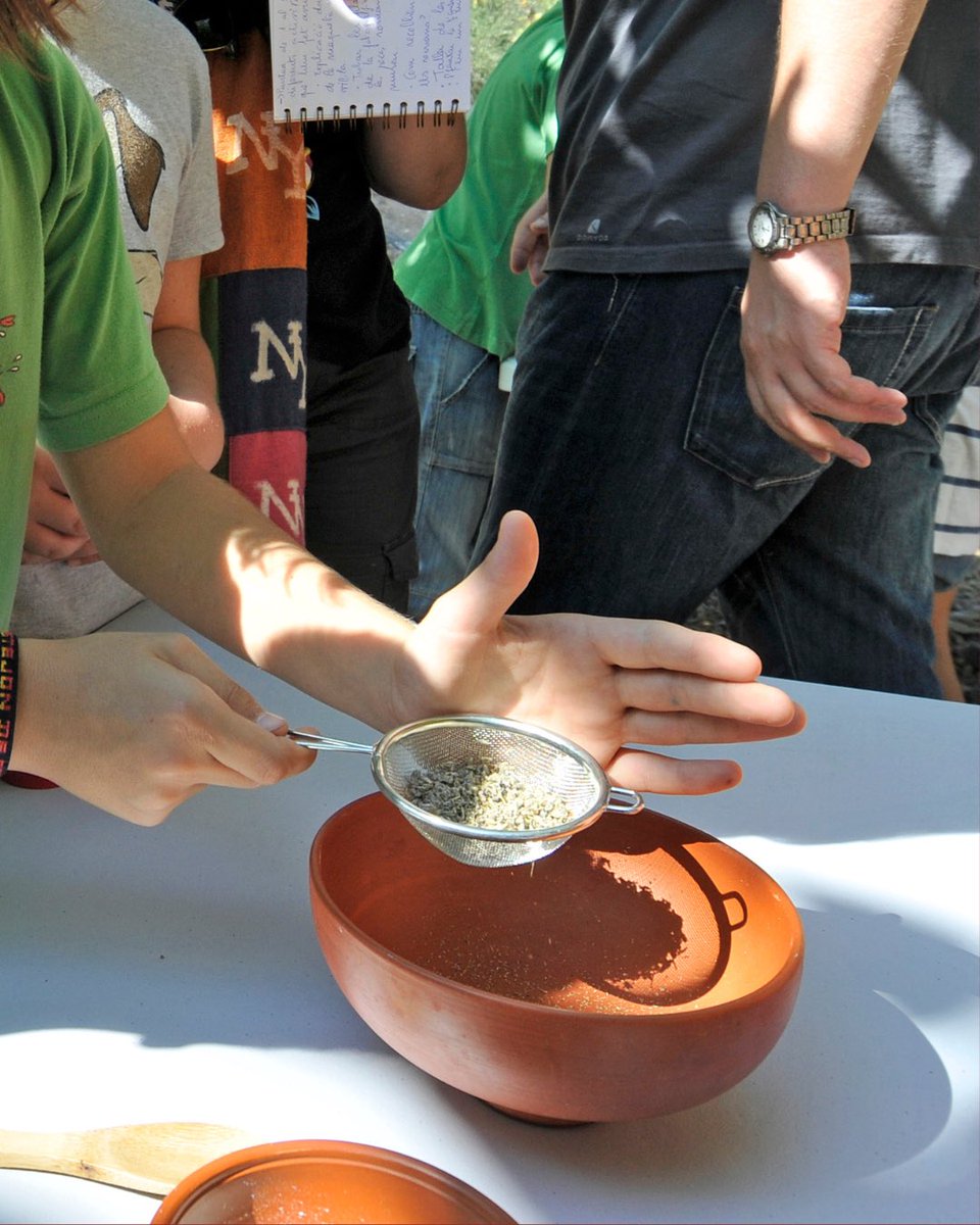 MNATTGN's tweet photo. 🏛️☀️ Aquesta recta final de curs, el MNAT et convida a viure el patrimoni en família amb dos tallers per explorar i experimentar com era la vida a Tàrraco.

🌿 Vine a l’hortus!
🗓️ Dissabte, 6 de juny 

🎨 Fem un mosaic?
🗓️ Diumenge, 7 de juny 

ℹ️ https://t.co/ZSppfuCyqM https://t.co/oSK2IoZLlF