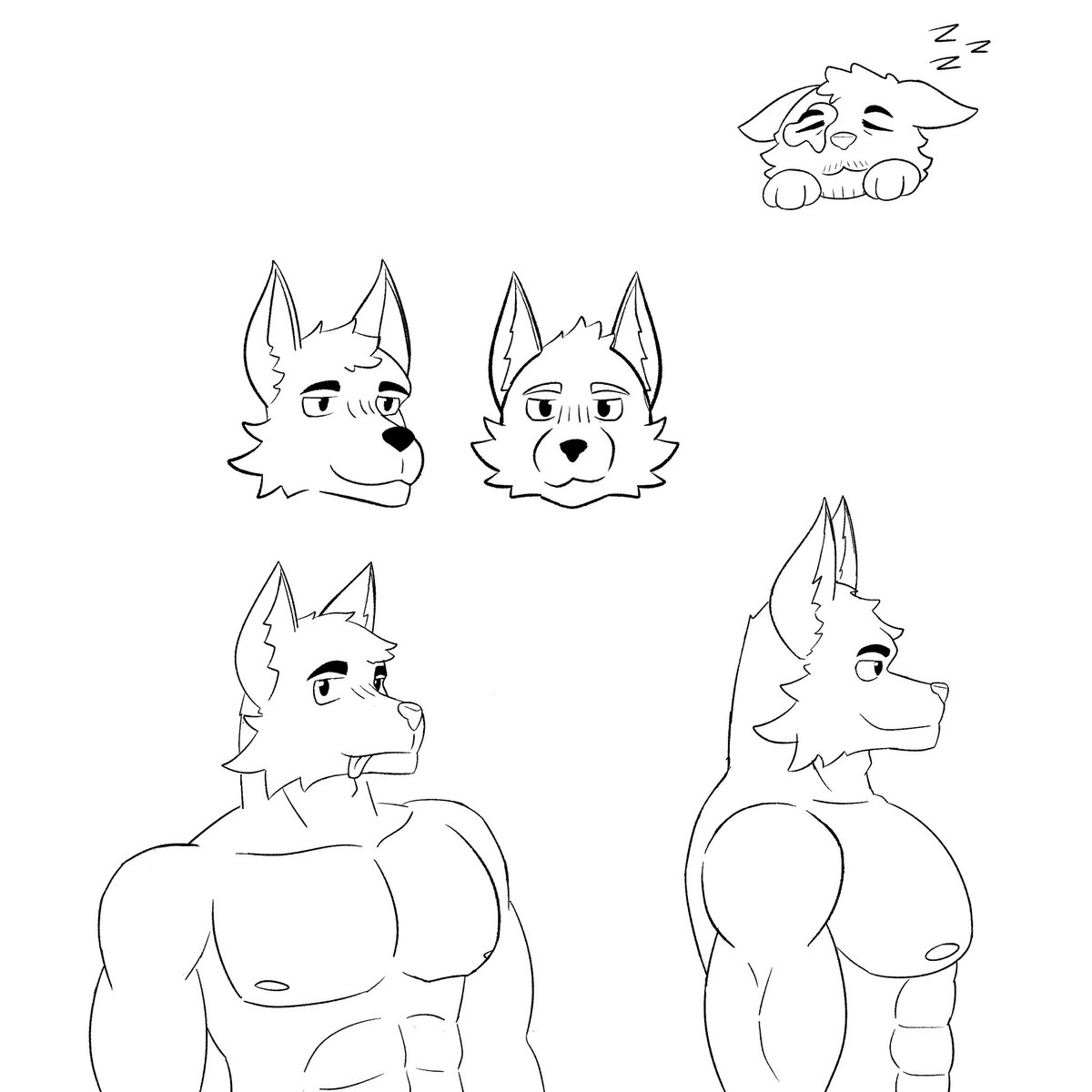 ✨🐺Frasier🐺✨ tweet media