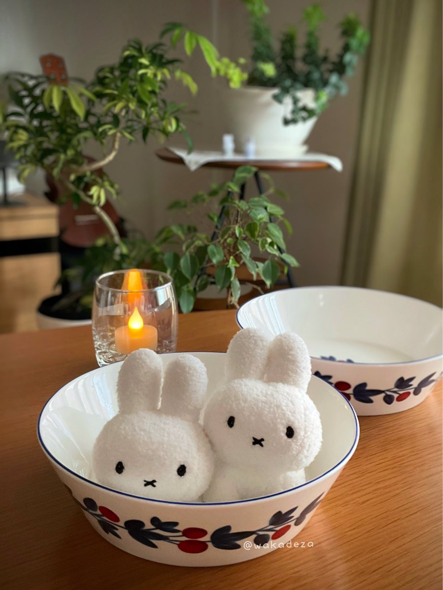 わかデザ|うさぎと日常🐰 tweet media