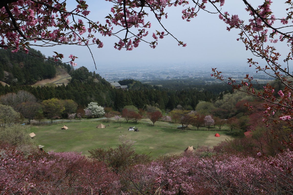 raitasancamp's tweet photo. #4月のキャンプを写真４枚で振り返る
4月も1回だけです。
#創造の森キャンプ場 https://t.co/WAd0HXLE9U