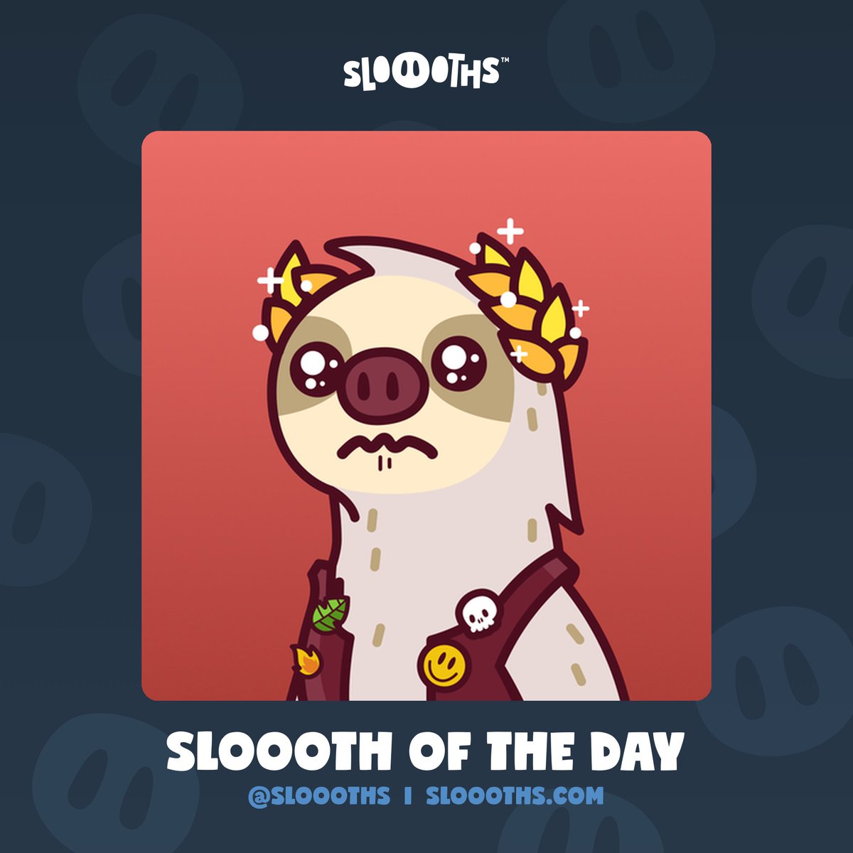 Sloooths tweet media