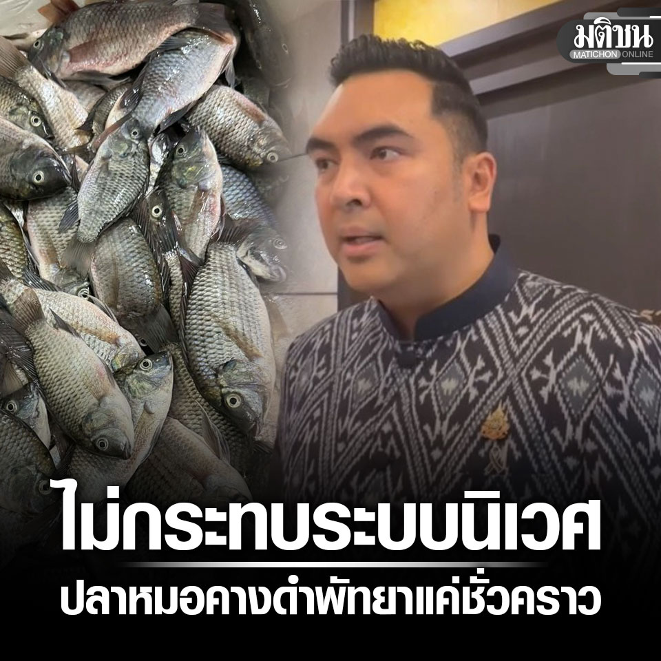 Matichon Online tweet media