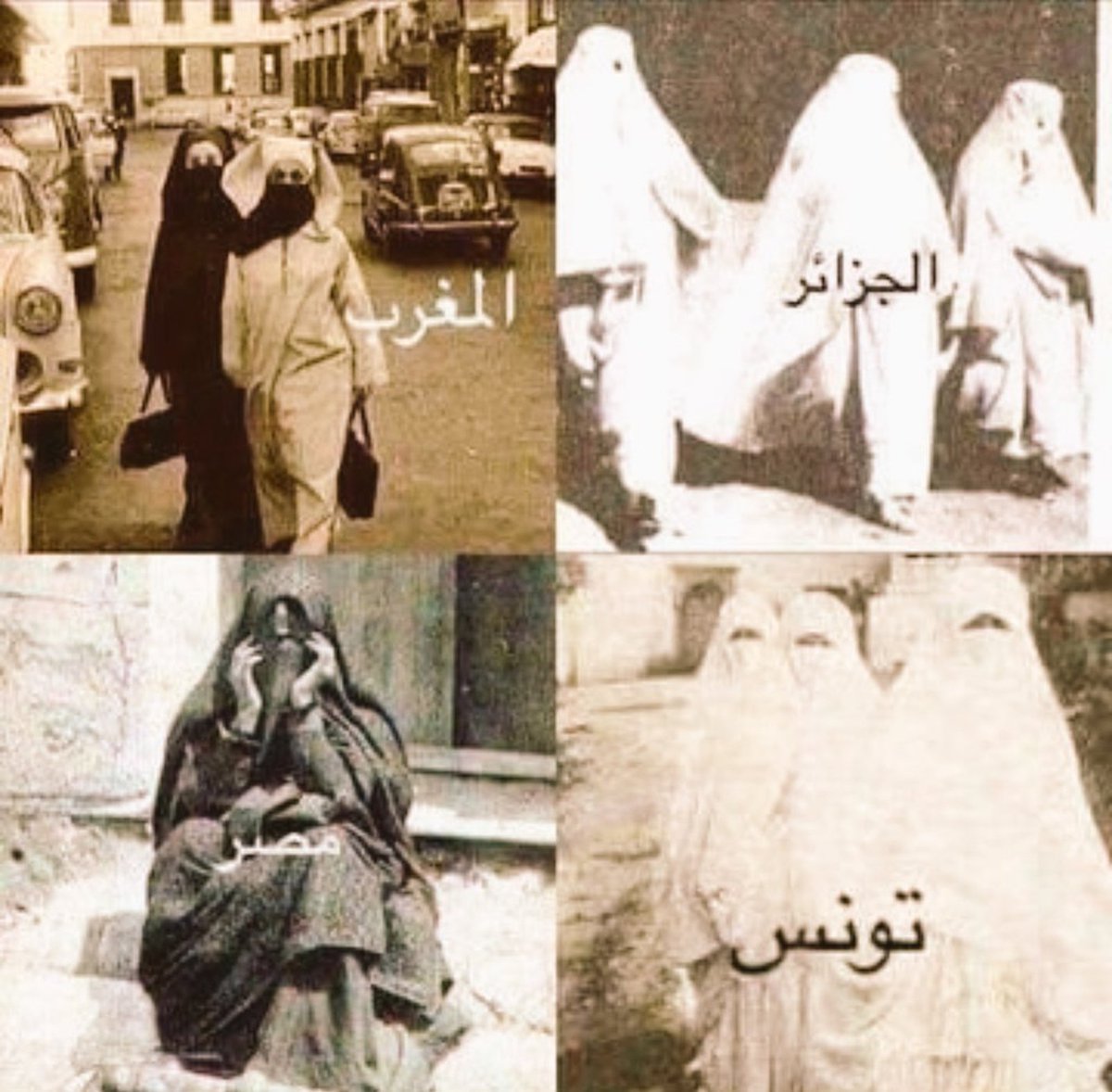 عبدالعزيز بن عبدالله الفالح 🇸🇦 tweet media