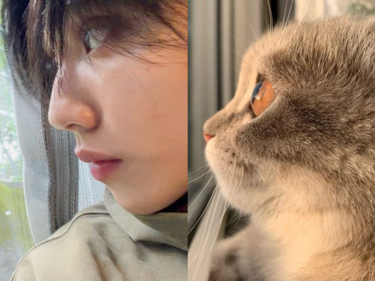  𓈒 ⟡🧚🏻♀️ Peanut ୨ৎ 𓈒 ݁⋆ tweet media