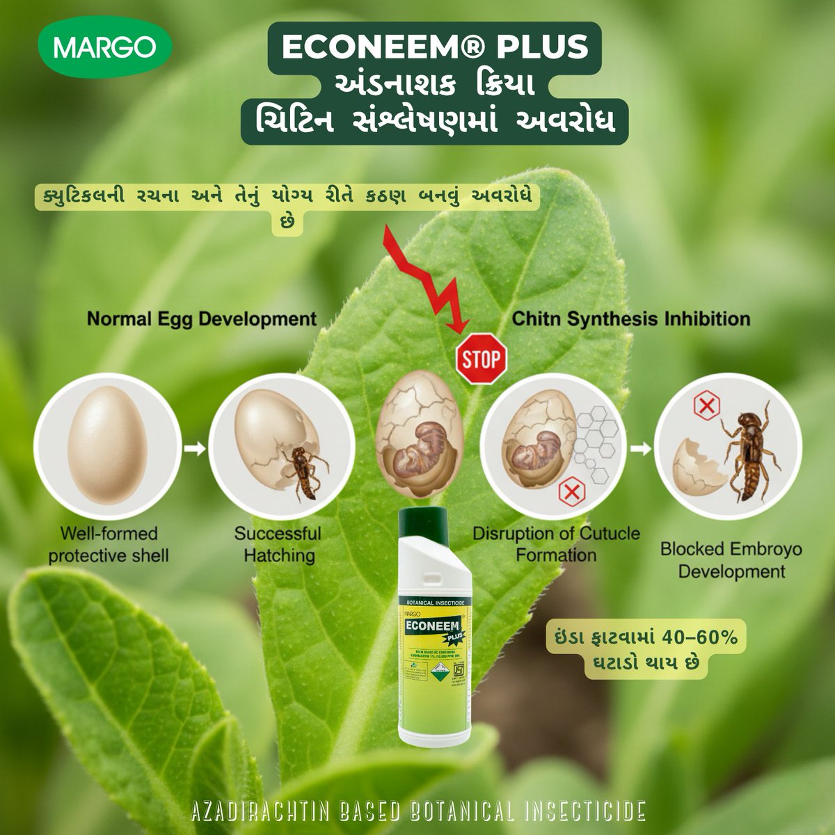 PJMARGOBIO's tweet photo. Ovicidal Property of Azadirachtin-based Botanical Insecticides – ECONEEM® PLUS :: ચિટિન સંશ્લેષણમાં અવરોધ
#MargoBiocontrols #PJMargo #Sustainability #Biosolutions #agriculture #IPM #OVICIDAL #MARGO https://t.co/LcR7R4EYXr