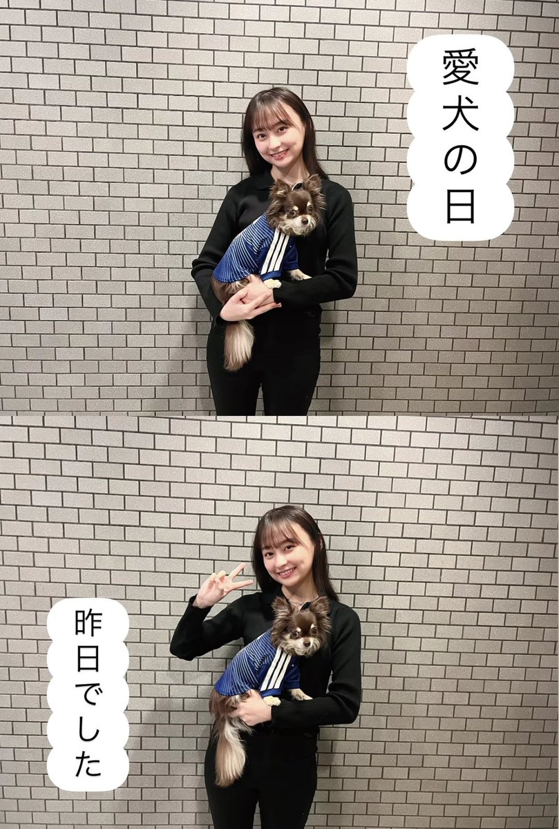 こやこや（R.N.日向に影在り）元58213 tweet media