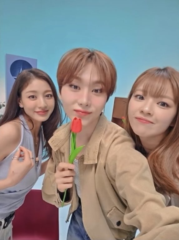 🐻 tweet media