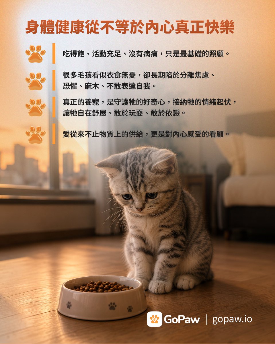 GoPawOfficial's tweet photo. Raising a pet is never just about feeding and taking care of them 🐾 #GoPaw

Many of us think providing daily needs is enough, yet we often overlook our fur babies have real emotions, thoughts, and their own little souls.

True companionship is about listening, respecting their boundaries, and feeling their happiness and sorrow with heart.

While we care for them, they also heal us and walk with us through every moment of growth.

May every pet parent love their furry family with more tenderness and understanding.🧡