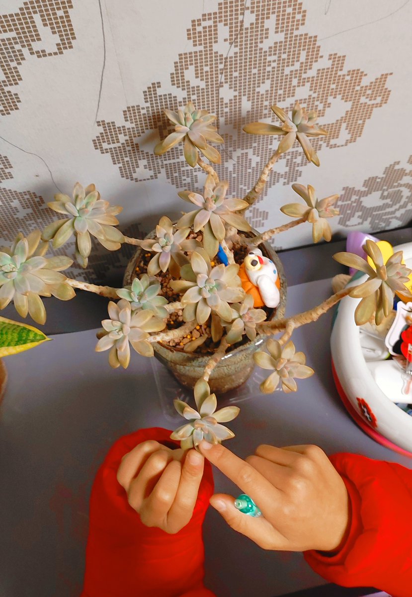 Rollin Timothé tweet media