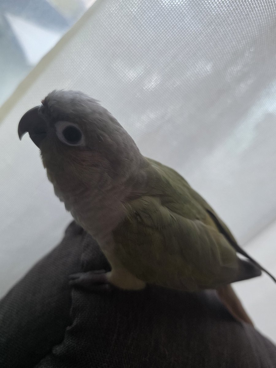 🥝다래집사🥝 tweet media