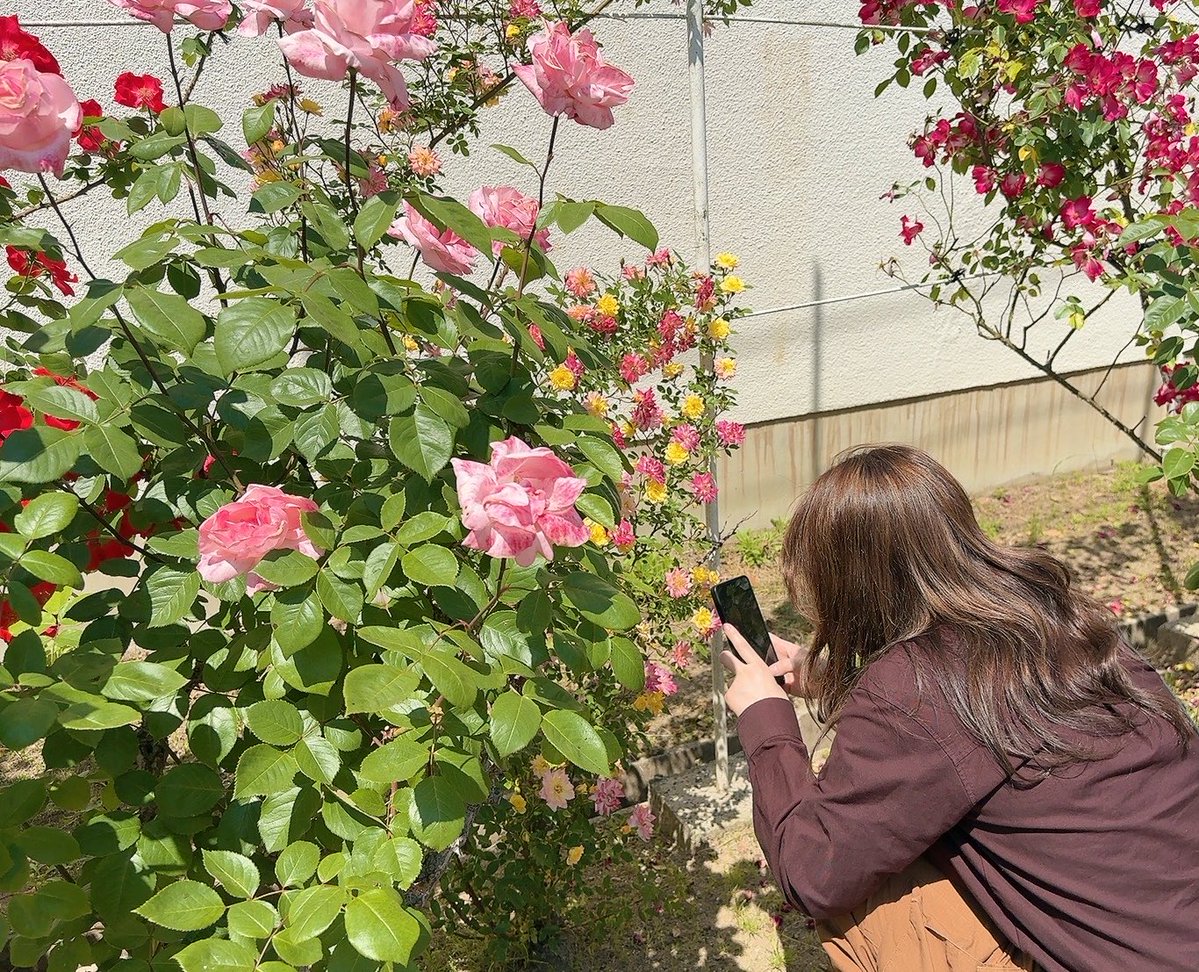 ユッケ🦋 tweet media