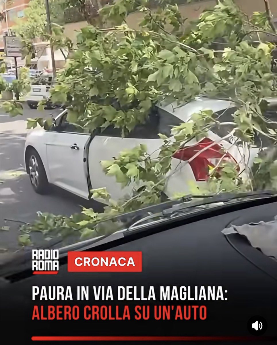 Vittoto_'s tweet photo. Grazie a @gualtierieurope e @Sabrinalfonsi il #BorgodelTrentino sta diventando realtà!! https://t.co/4jx9dweIYj