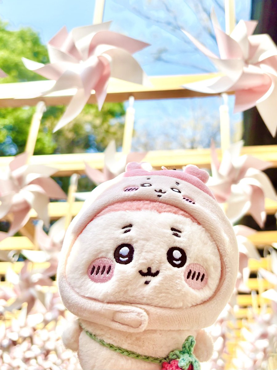カニちゃん