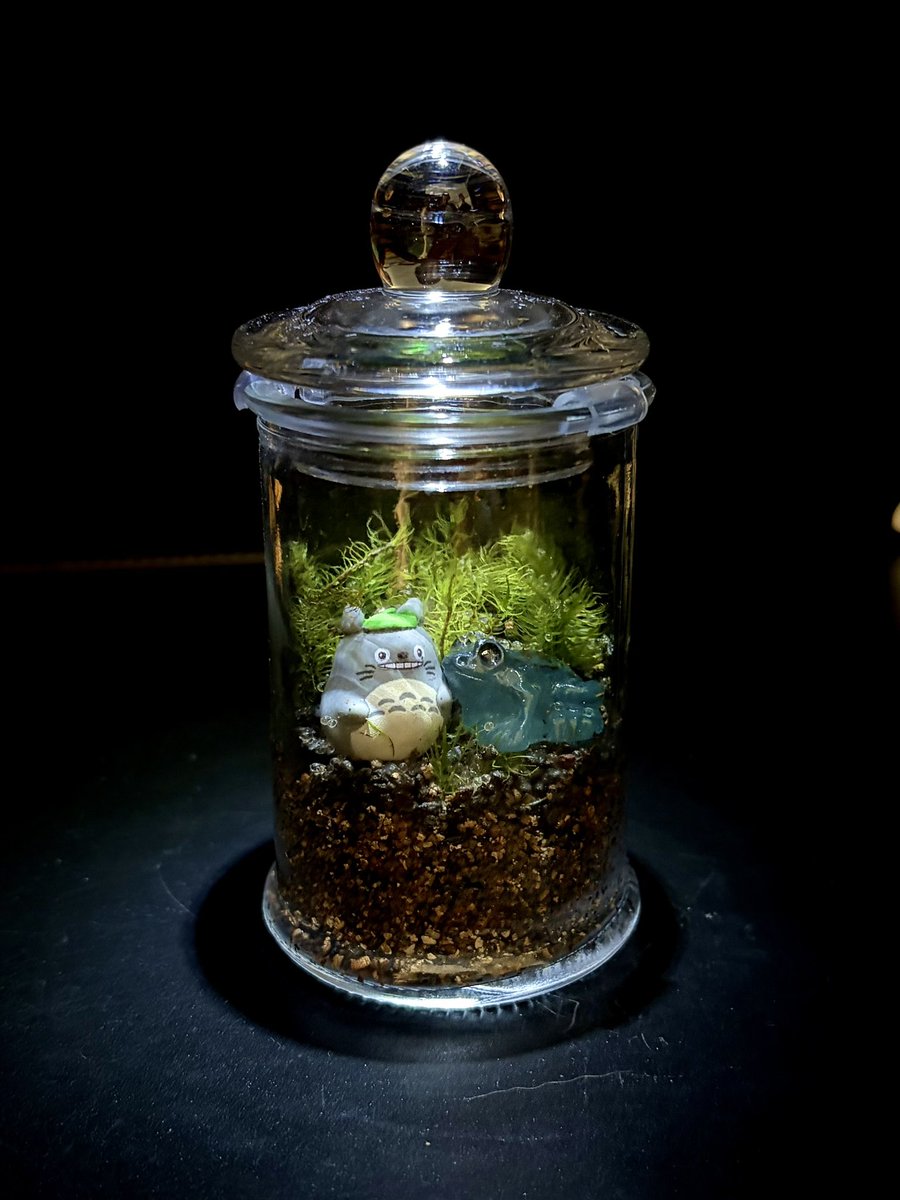 Moss Country tweet media