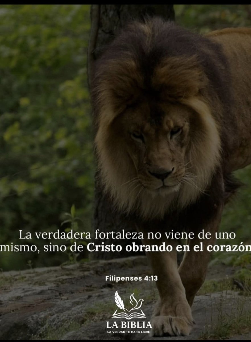josemar11998's tweet photo. 🙏🙏🙏 https://t.co/2sU7Ryku7t
