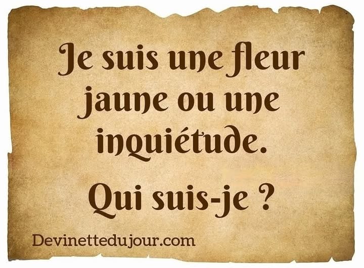PlanPlan-Bilou tweet media