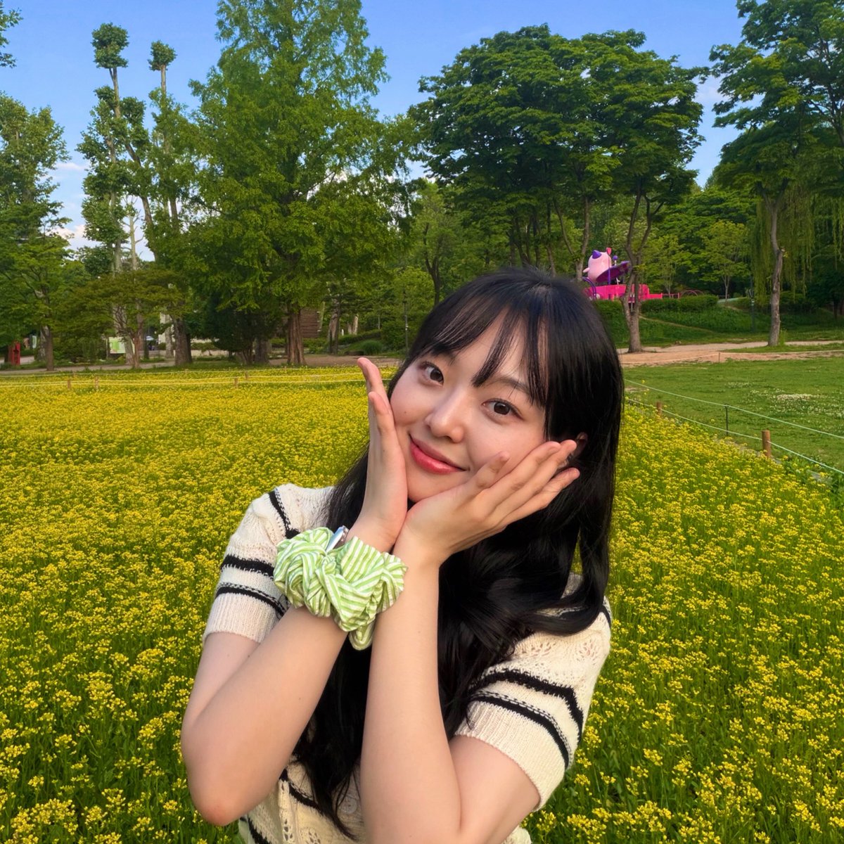 너트 tweet media