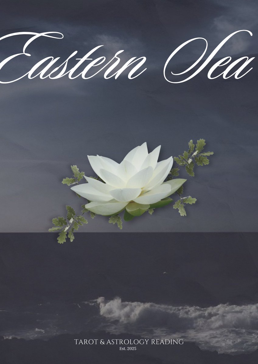 东海 • OPEN for Tarot & Birth Chart Readings! tweet media