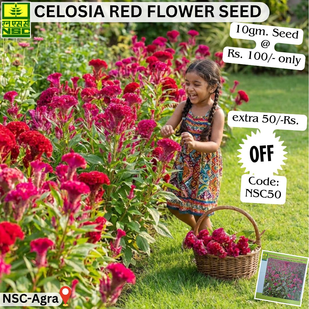 National Seeds Corporation Limited tweet media