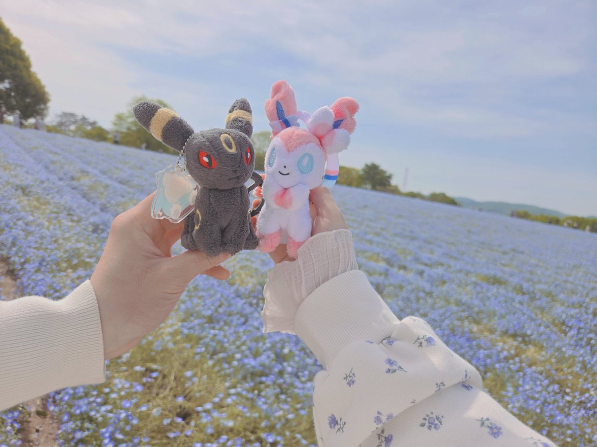 もにゃんしぇ🌸 tweet media