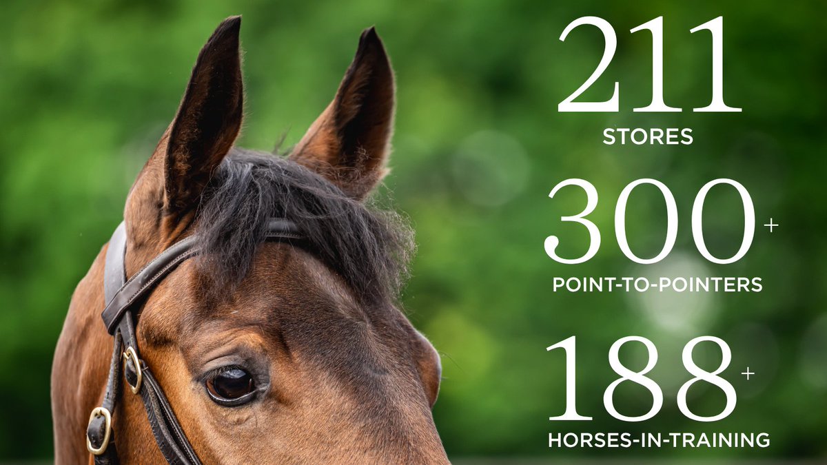 Goffs UK tweet media
