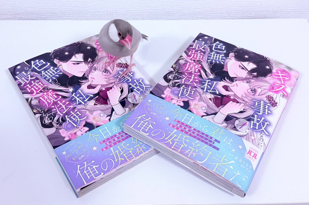 7e🌟キス事故 tweet media