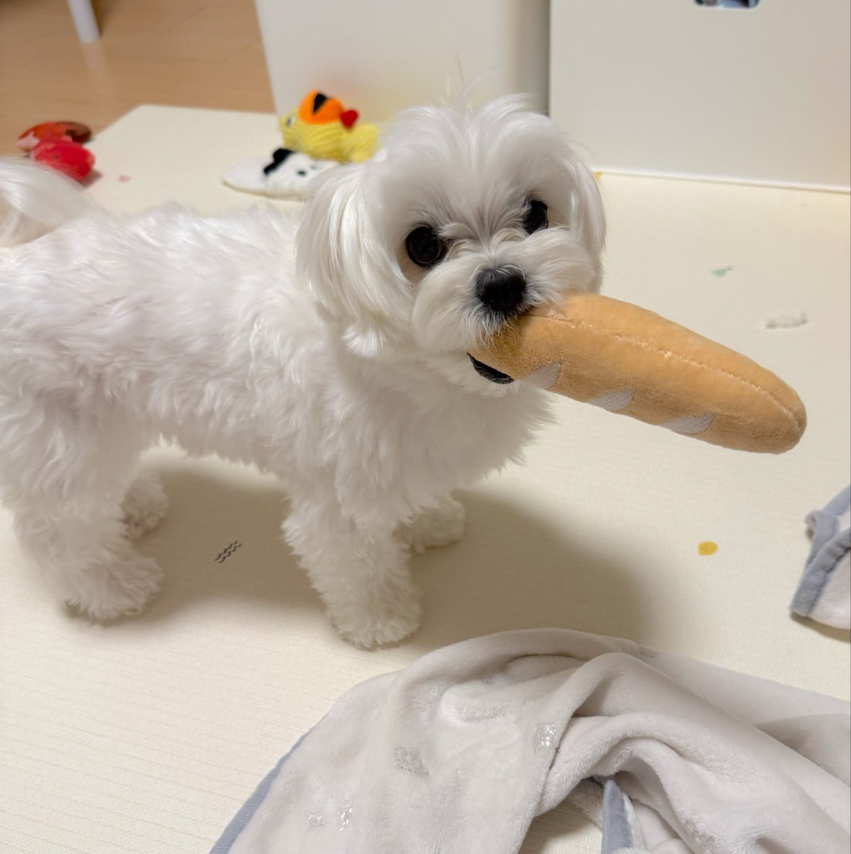 Post by ちくわさん on X: ⁉️⁉️