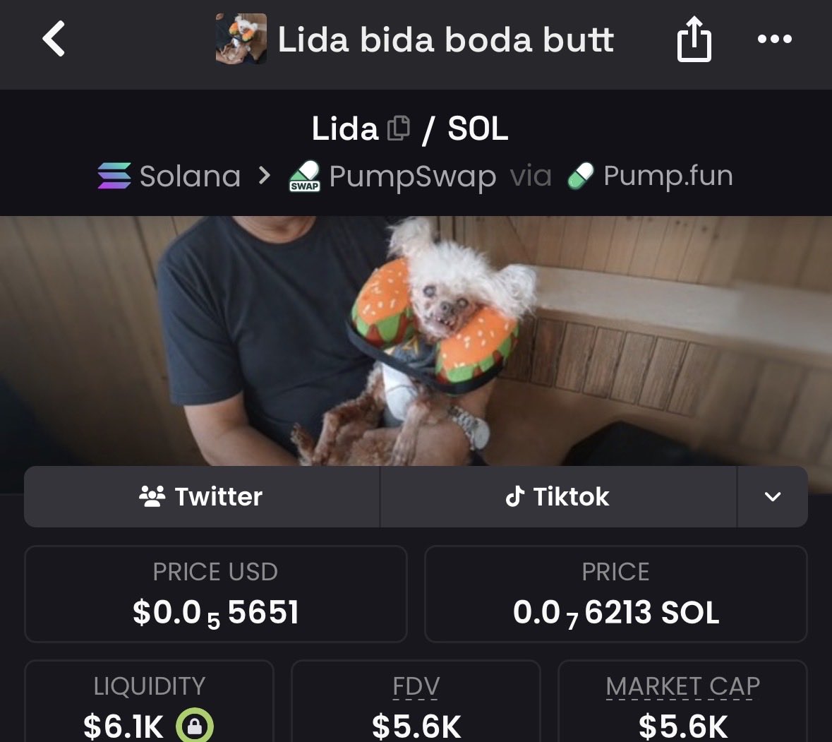 drlowcap(PHD) tweet media
