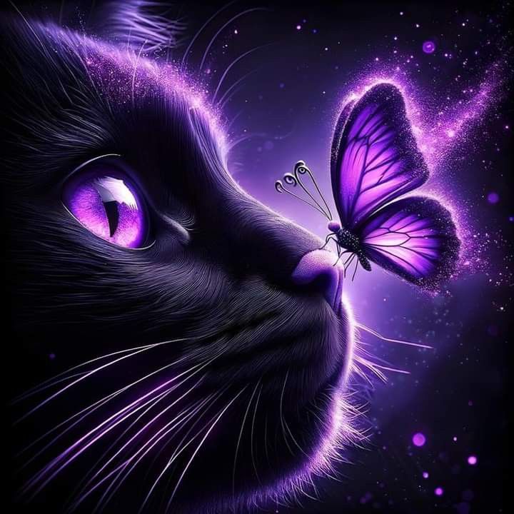 Caty Favorite tweet media