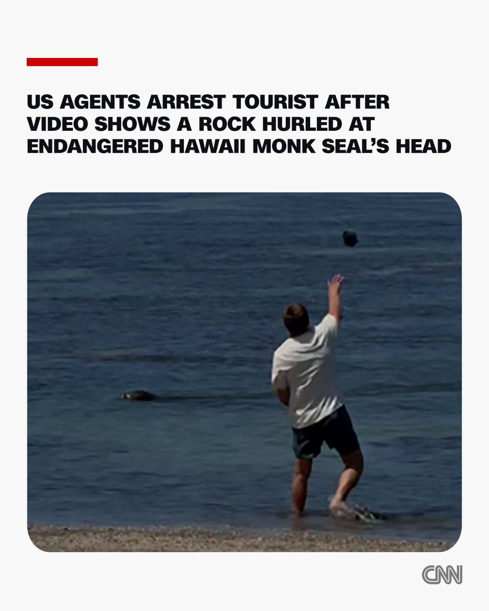 CNN tweet media