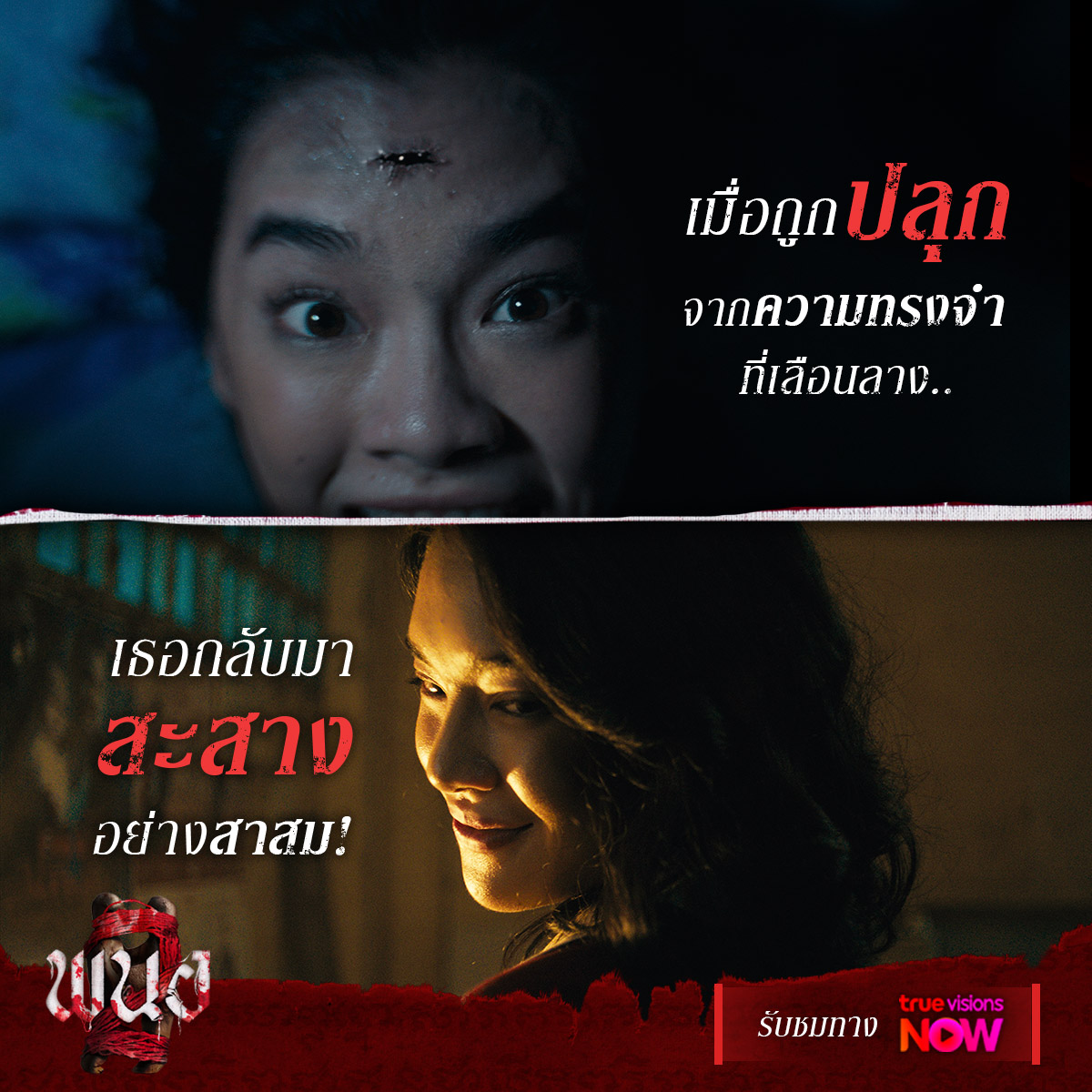 Five Star Movies tweet media